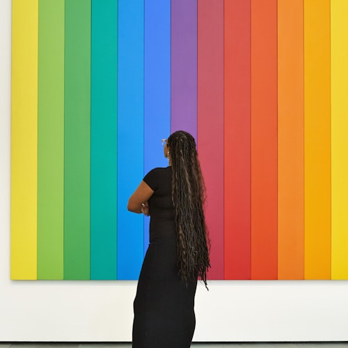 The Museum of Modern Art (MoMA): Entry Ticket