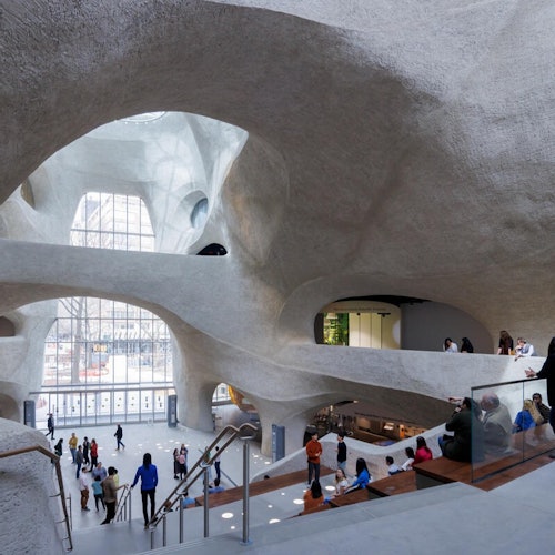 American Museum of Natural History (AMNH): Plus One Ticket