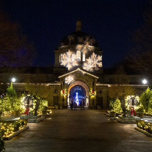 Bronx Zoo: Holiday Lights Tickets