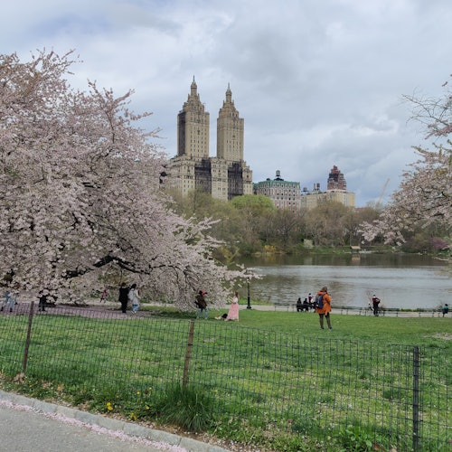 New York: Central Park Guided Bike Tour