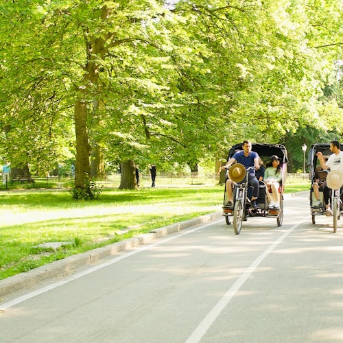 Central Park: Pedicab Guided Tour