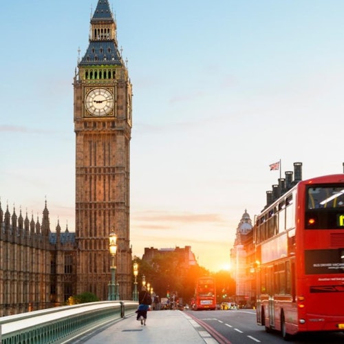 London: Westminster Guided Walking Tour + Kew Gardens Entry