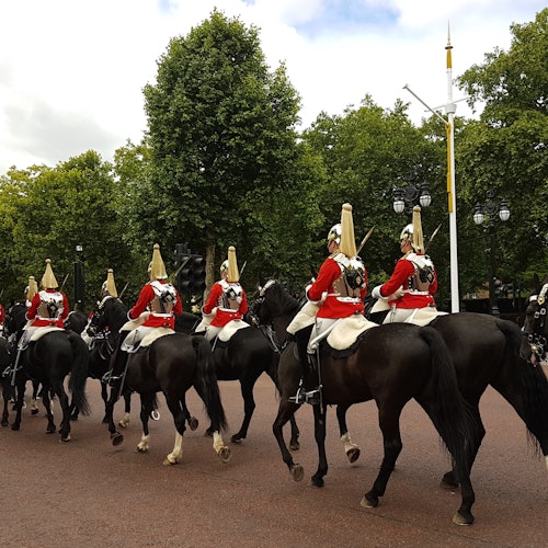 London: Walking Tour + Changing of the Guard at Buckingham Palace