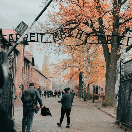 Auschwitz-Birkenau: Tour libre + Transporte desde Cracovia