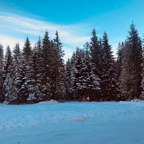 Zakopane y Paseo en Trineo con Hoguera - Excursión Privada desde Cracovia