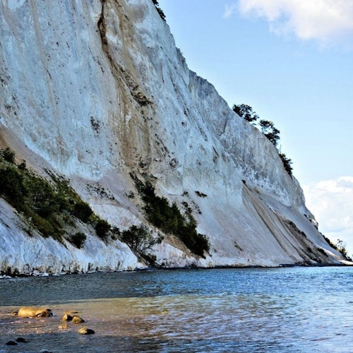 Møns Klint y Torre del Bosque: Excursión de un día desde Copenhague