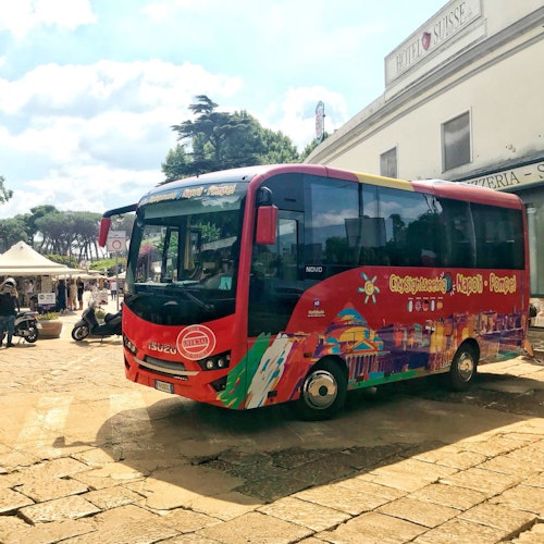 Sólo transporte: Viaje de ida y vuelta en autobús de enlace de Nápoles a Pompeya