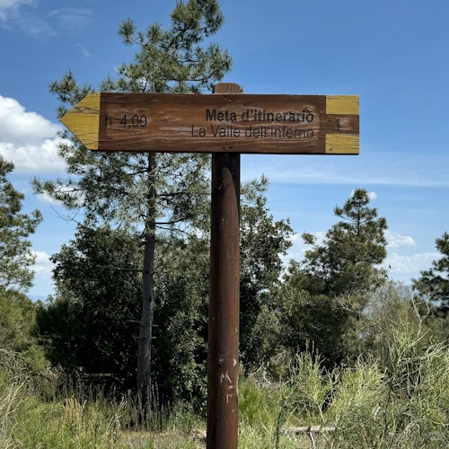 Mount Vesuvius: Skip The Line Ticket + Bike Tour + Roundtrip Train from Naples
