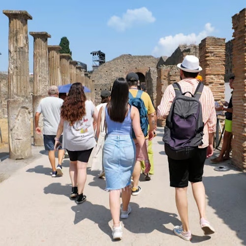 Pompeii & Mt. Vesuvius: Small Group Guided Tour + Roundtrip from Naples + Lunch