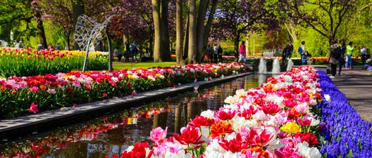 Guided tour to Keukenhof and Zaanse Schans from Amsterdam
