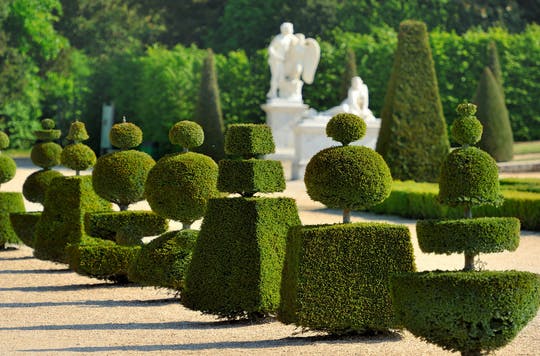 Visita guiada al Palacio de Versalles desde París y Jardines opcionales