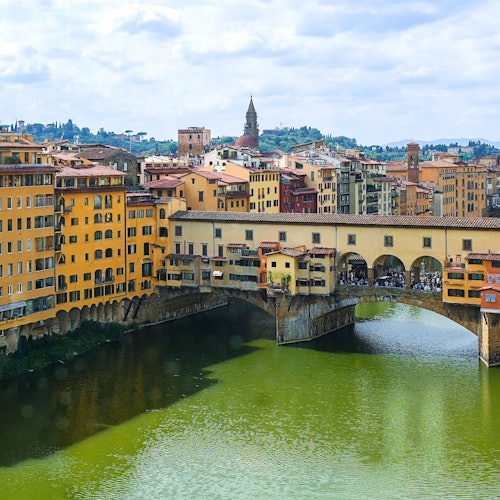 Florence: Guided Walking Tour + Accademia Gallery