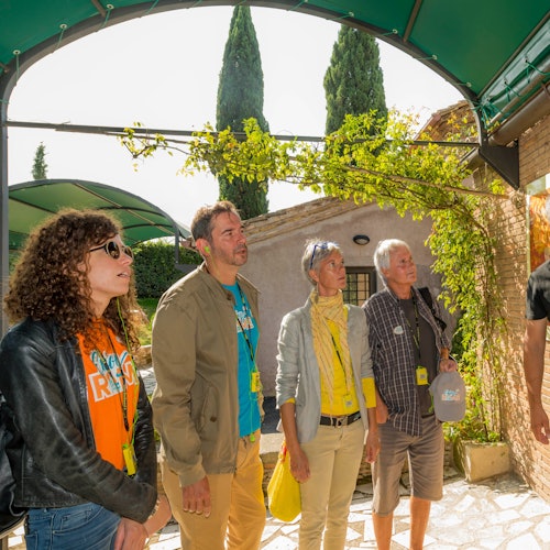 Appia Antica & St. Callisto Catacombs Rome: Guided Tour + Transfer