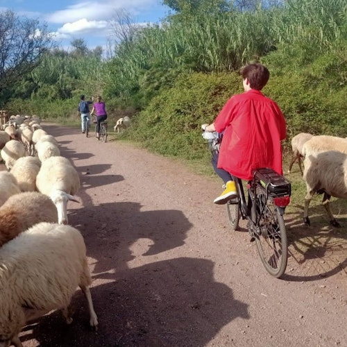 Appia Antica, Acueductos y Catacumbas Roma: Recorrido en E-Bike