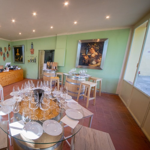 Chianti: Wine & Olive Oil Tasting with Guided Tour + Roundtrip from Florence