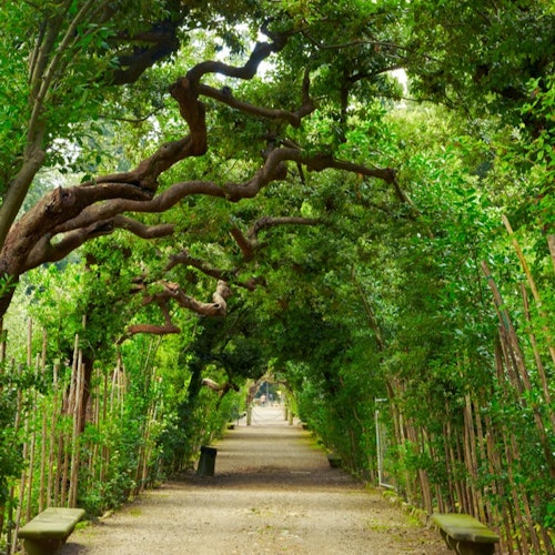 Palazzo Pitti & Boboli Gardens: Entry Ticket + Guided Tour