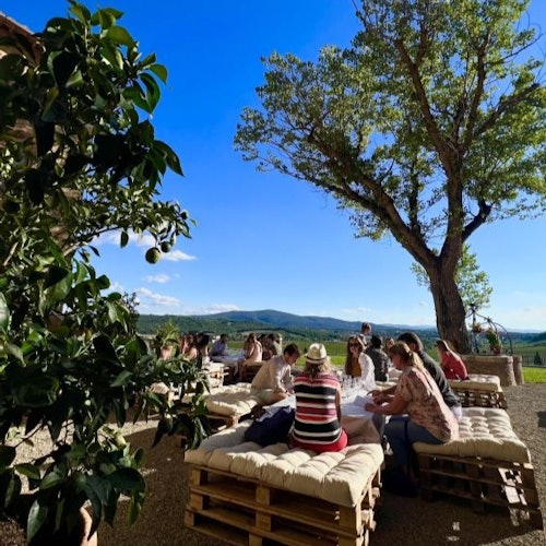 Chianti: Excursión de un día desde Florencia + Visita y Cata de Vinos