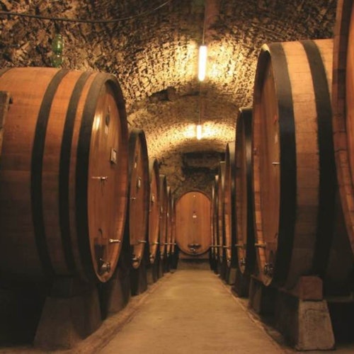 Chianti y Castillos: Excursión de un día desde San Gimignano + Cata de vinos