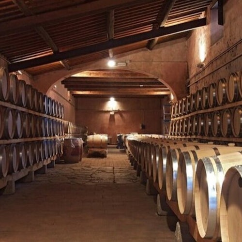 Val D'Orcia: Excursión con Cata de Vinos + Ida y Vuelta desde Siena