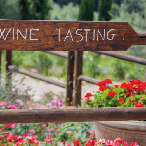 Montalcino: Excursión con cata de vinos desde San Gimignano