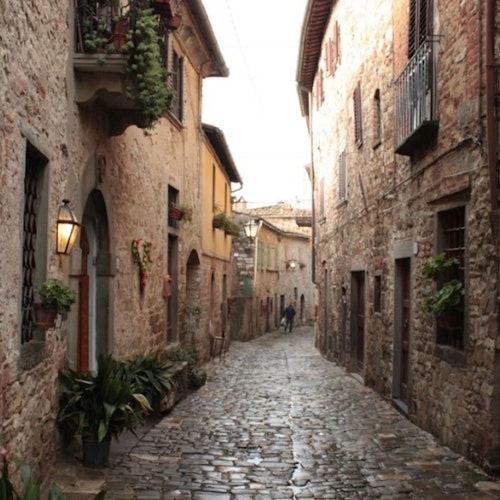 Visita a los viñedos y al castillo de Chianti con cata de vinos