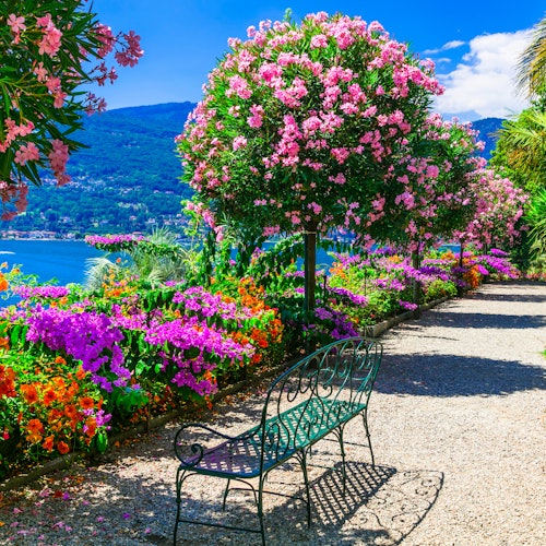 Lake Maggiore: Daytrip from Milan