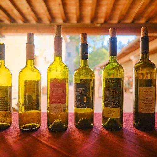 Florence: Small Group Guided Wine Making Workshop + Tasting