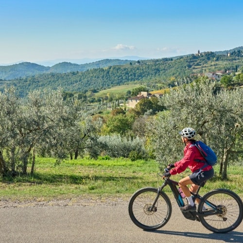 Chianti: Visita guiada en E-bike + Comida + Degustación de vinos