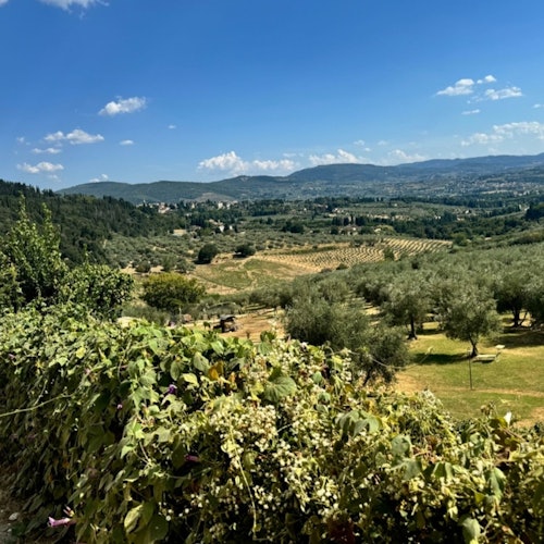Fiesole: Guided E-bike Tour from Florence + Olive Oil Tasting