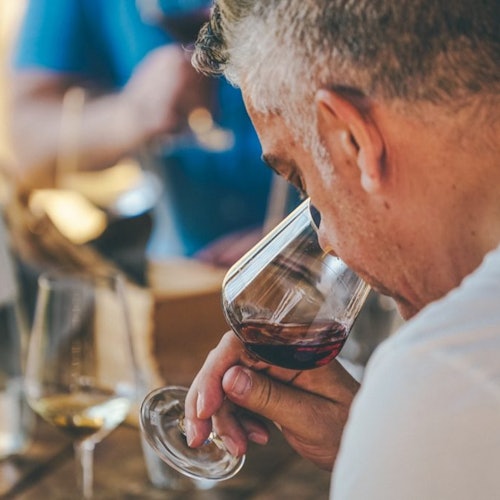 Tour de cata de vinos Amarone desde Verona