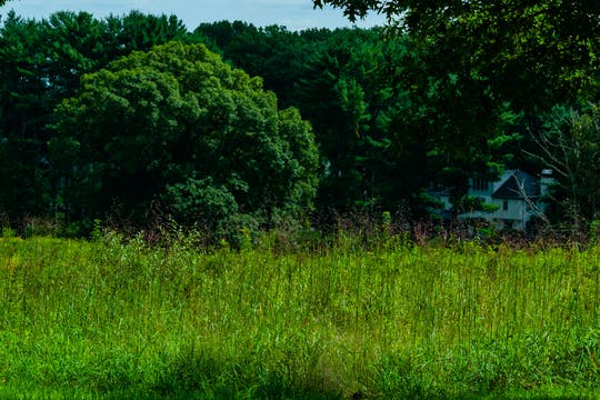 Philadelphia and Amish Countryside day tour from NYC