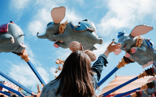 Walt Disney World Resort single-park multi-day tickets