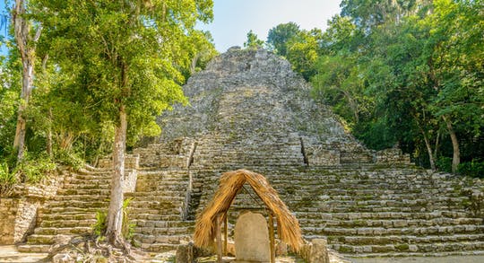 Excursión de lujo de un día a Tulum, el cenote y la 5ª Avenida de Playa del Carmen