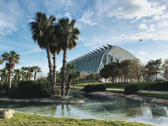 Visita guiada de 1 hora por Valencia con un local
