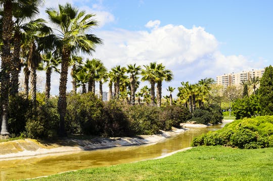 Tour en Segway™ por los parques de Valencia