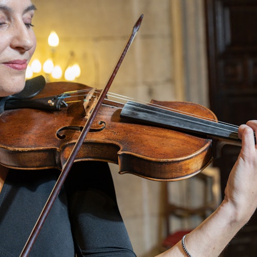 Plaza de San Marcos: Concierto de ópera del Collegium Ducale