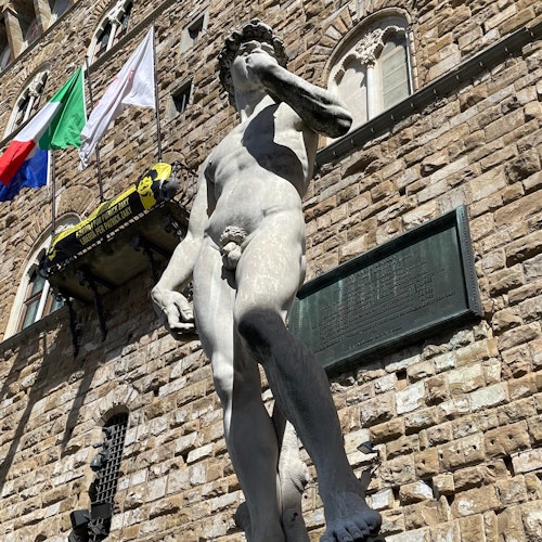 Palazzo Vecchio & Hall of Five Hundred: Guided Tour