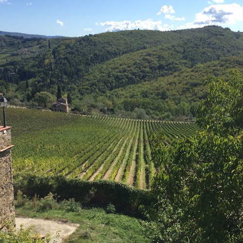Chianti Region: Day Trip from Florence + Wine Estate Visit