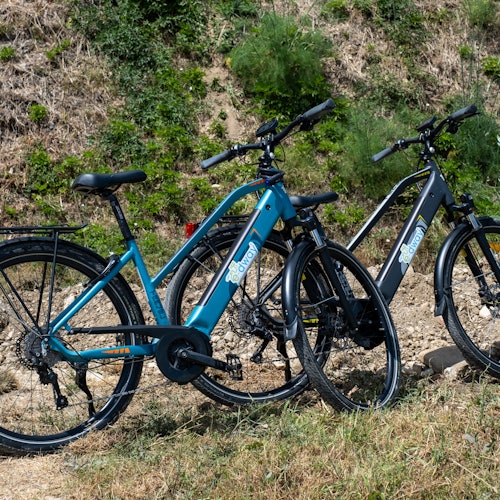 Florence: Half-Day Guided E-bike Tour + Lunch