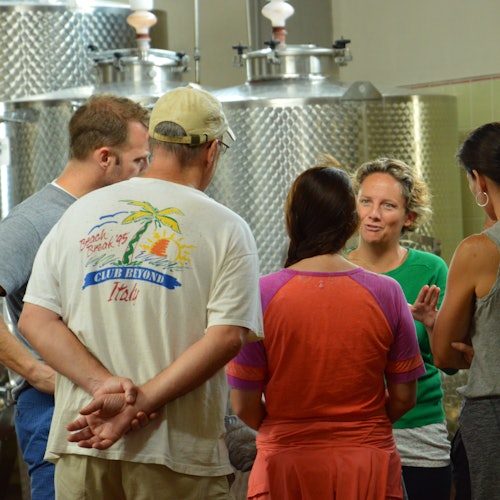 Chianti: Guided Winery Tour + Wine Tasting