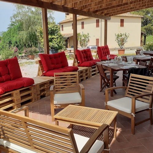 Chianti: Guided Winery Tour + Wines & Cheeses Tasting