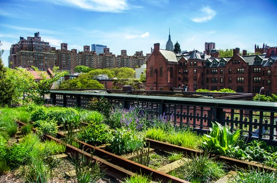 New York City High-Line and Hudson Yards walking tour