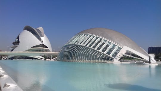 Recorrido a pie por la Ciudad de las Artes y las Ciencias
