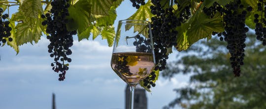 Private Etyek wine tour and dinner with Danube River evening cruise