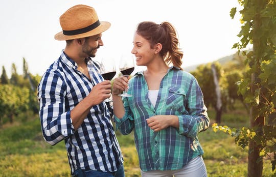 San Gimignano half-day tour with picnic in the Tuscan hills