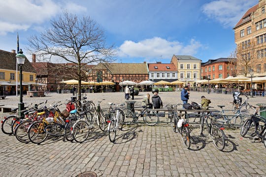 Excursión de un día de Copenhague a Malmö