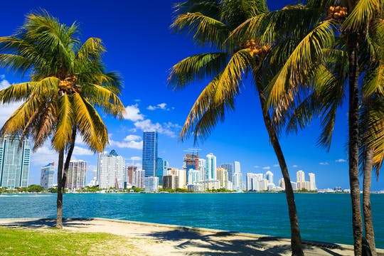 Excursión de un día completo en autobús turístico por Miami con crucero de 90 minutos y hidrodeslizador por los Everglades