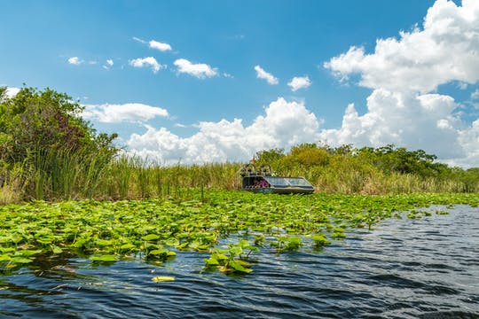 Entrada a los Everglades con paseo en hidrodeslizador y espectáculo de vida silvestre.