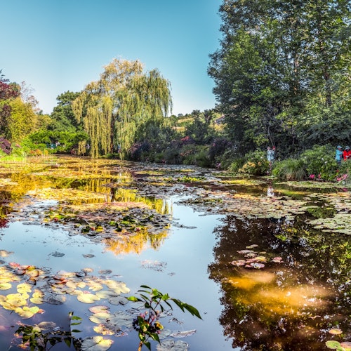 Monet's Gardens in Giverny: Small Group Half-Day Trip from Paris