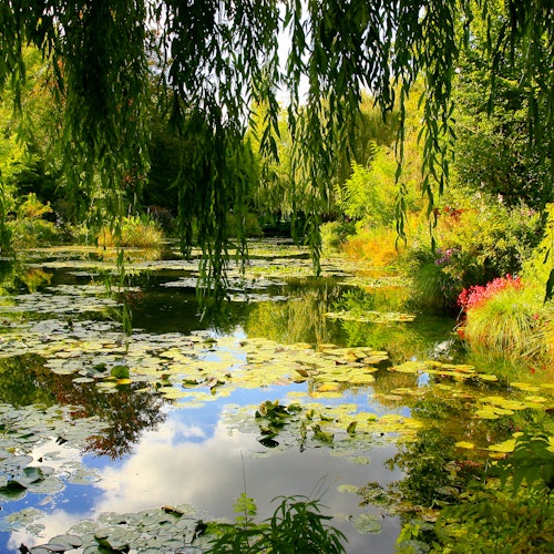 Monet's Garden in Giverny: Half-Day Guided Tour from Paris